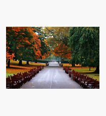 Autumn in Princes Street Gardens II Photographic Print