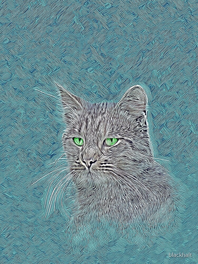 Felis silvestris catus by blackhalt