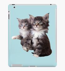 Kittens iPad Case/Skin