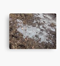 Ice Canvas Print