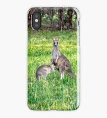 Kangaroos iPhone Case/Skin