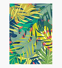 Eden Photographic Print