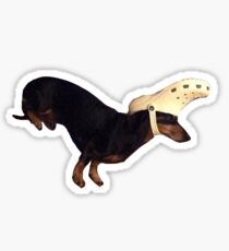 dog wearing a croc Sticker