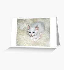 jules Greeting Card