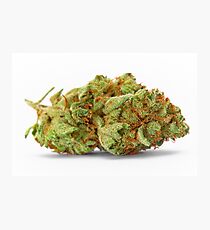Raum Königin Marihuana Fotodruck