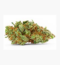 Space Queen Marijuana Photographic Print