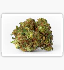 Presidential OG Marijuana Sticker