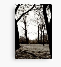 Ominous Canvas Print