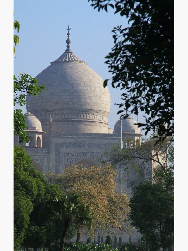 The Taj amongst the trees. by JohnDalkin