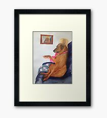TV Buddy Framed Print