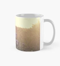 Sunset field Mug