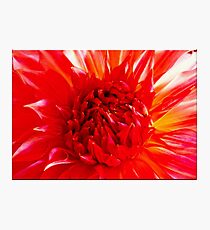 Shining Photographic Print