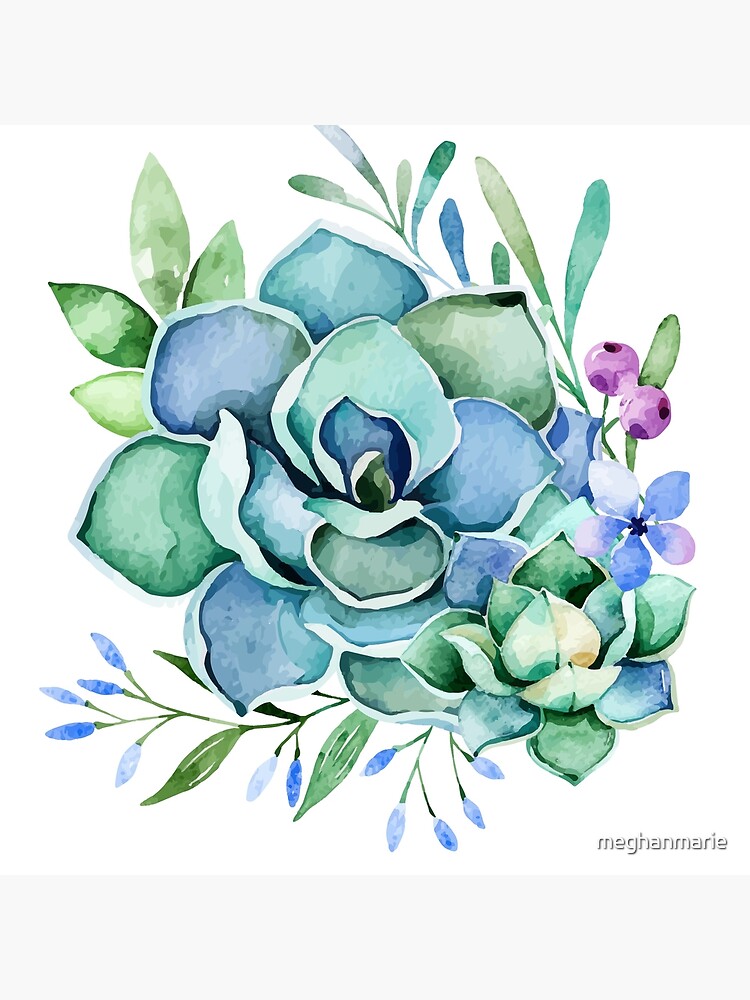 Watercolor Succulent by meghanmarie