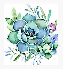 Watercolor Succulent Photographic Print