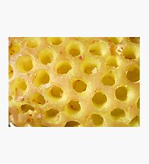 Guess What?-Solved Photographic Print