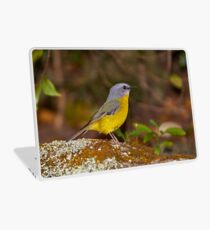 Eastern Yellow Robin Laptop Skin