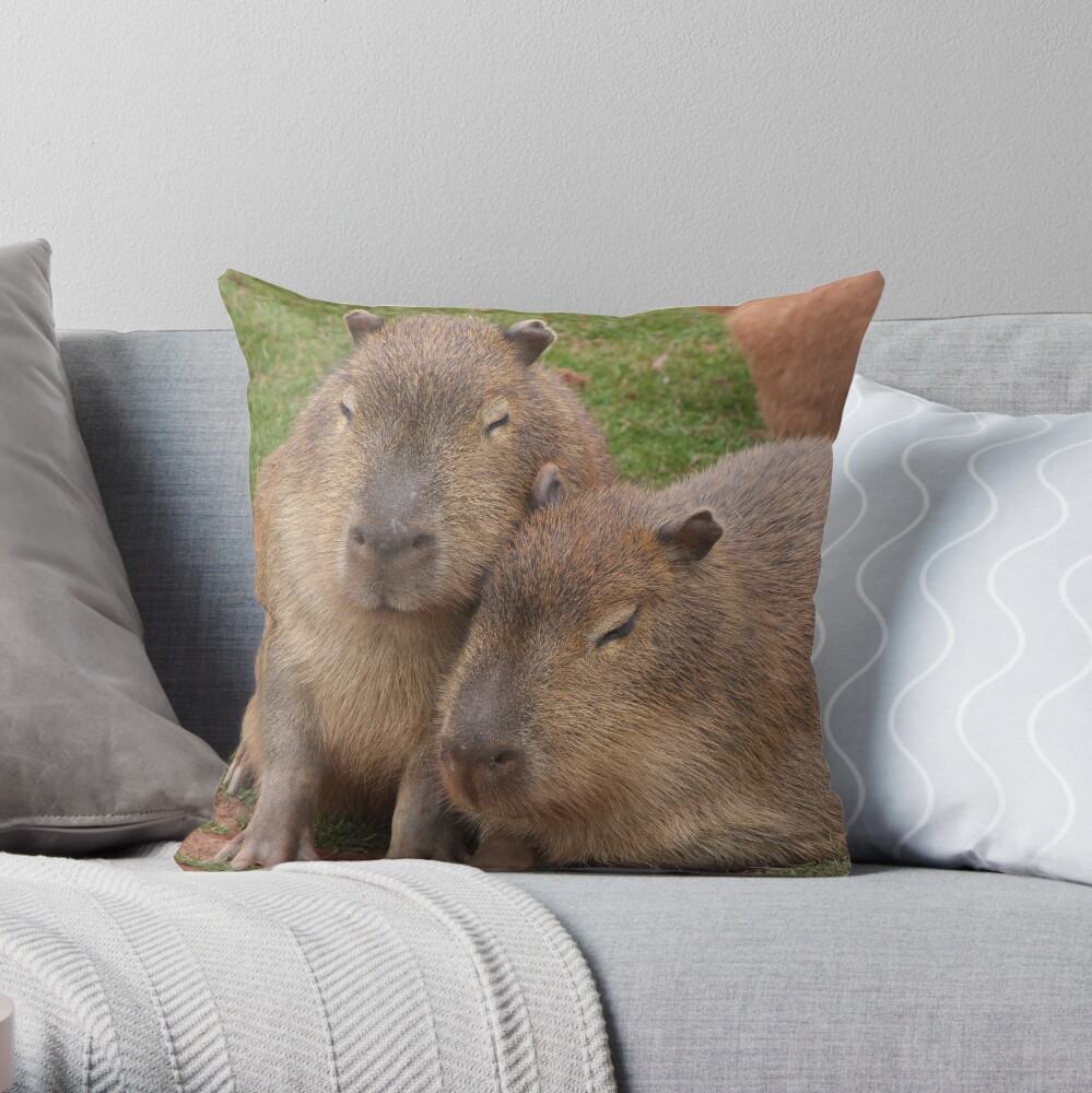 pillow pets capybara