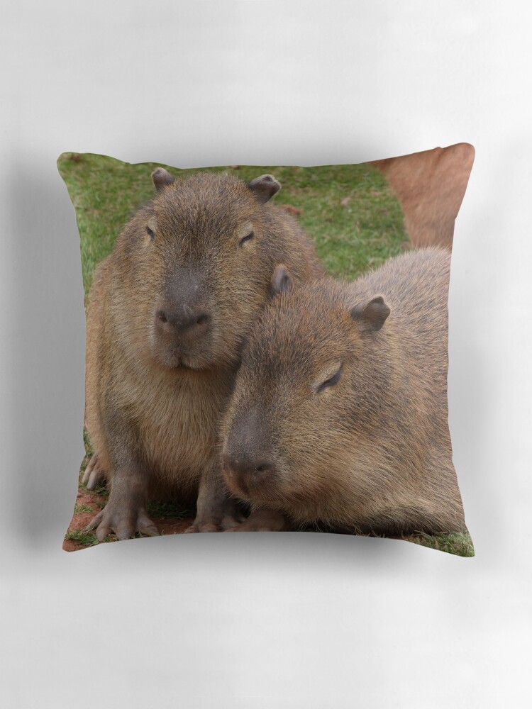 pillow pets capybara