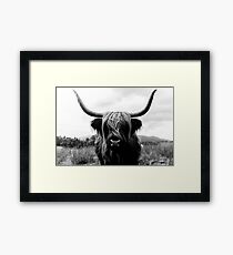 Scottish Highland Cattle - Black and White Animal Photography Framed Print