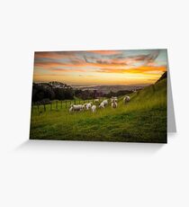Sheep on One Tree Hill Greeting Card