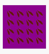 Brown beans on purple Photographic Print