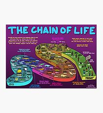 The Chain of Life - Your Evolutionary History Photographic Print