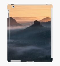 Fantasia iPad Case/Skin