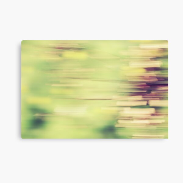 rectangulisme Canvas Print