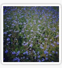 forget me not Sticker