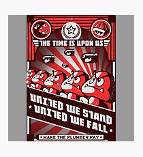 United We Stand Photographic Print