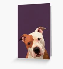Pitbull Greeting Card
