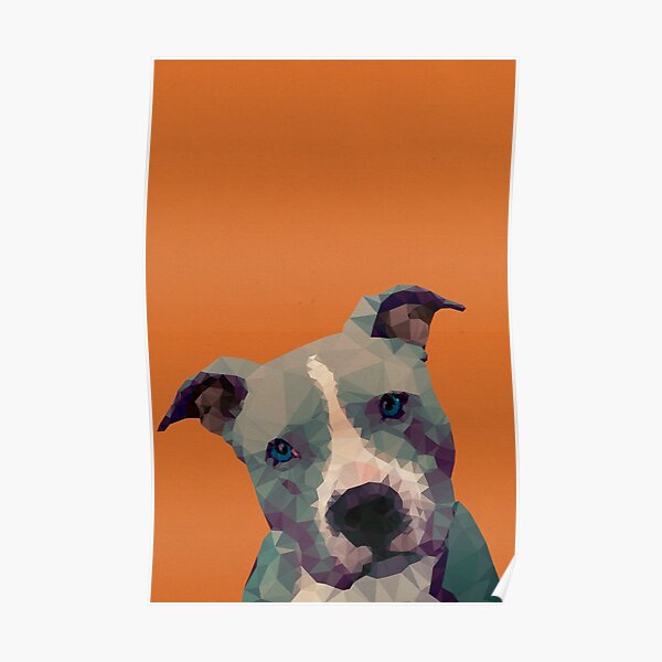 Pitbull Posters Redbubble