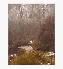 devils gullet Photographic Print