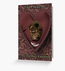 YOU A-MEWS ME...MY PURRFECT VALENTINE Greeting Card