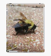 Bumble Bee iPad Case/Skin