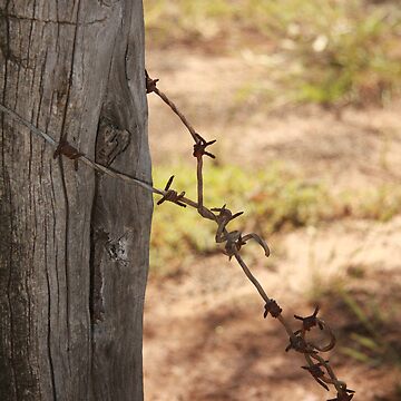 Artwork thumbnail, Old barbed wire by mistered