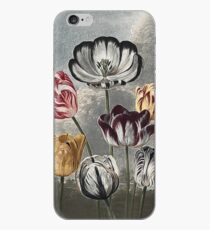 Vinilo o funda para iPhone Botánico - Crear historia de arte