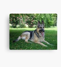 Honey under the Weeping Willow Canvas Print