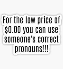 Correct Pronouns!! Sticker