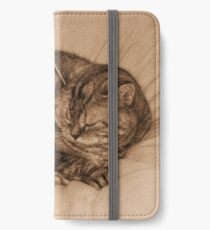 Little Cat Takes a Little Cat Nap iPhone Wallet/Case/Skin