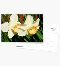 Companionship Postcards