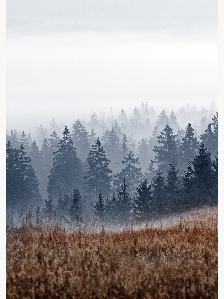 Lost In Fog by tekay