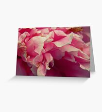 peeling petals, just like paint Greeting Card