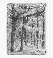 2012_20 iPad Case/Skin