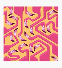 Flamingo Maze Photographic Print