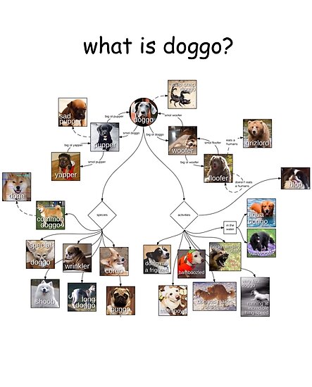 "Doggo chart" Poster by mrpopo8 | Redbubble