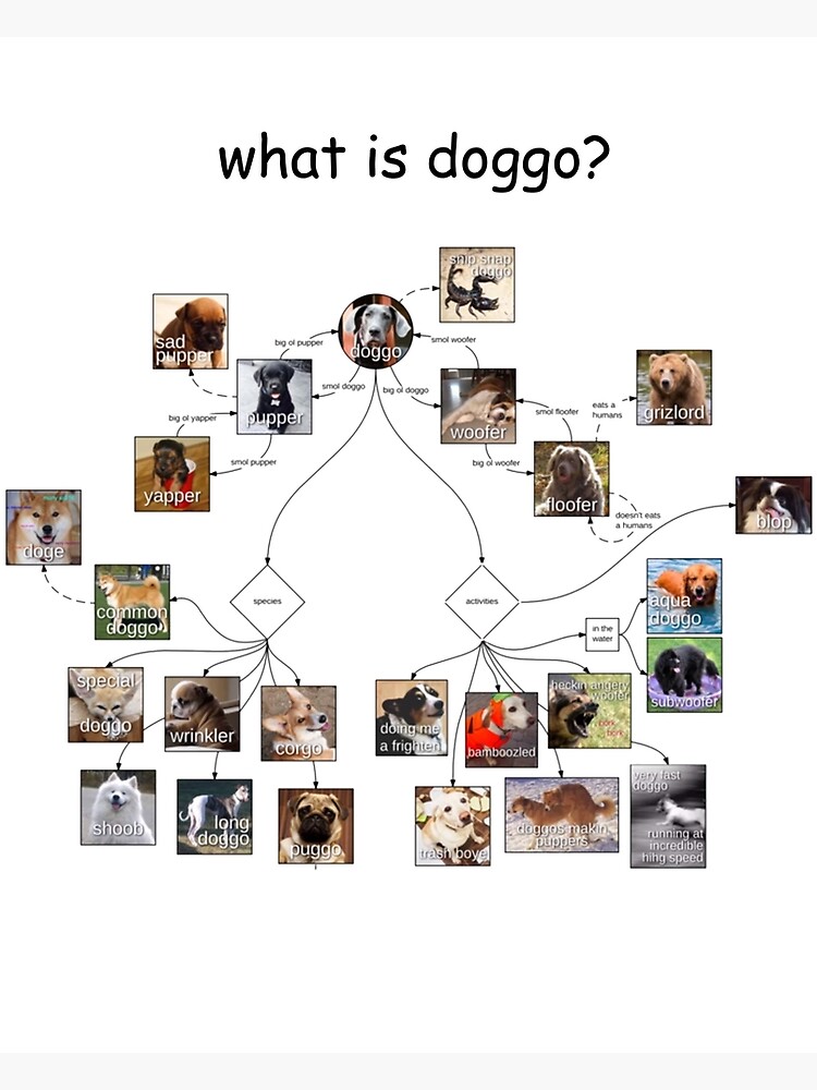 Doggo Chart
