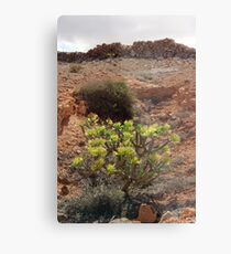 Lanzarote Metal Print
