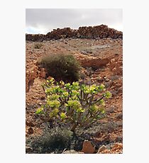 Lanzarote Photographic Print
