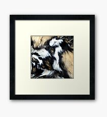 Fur Framed Print